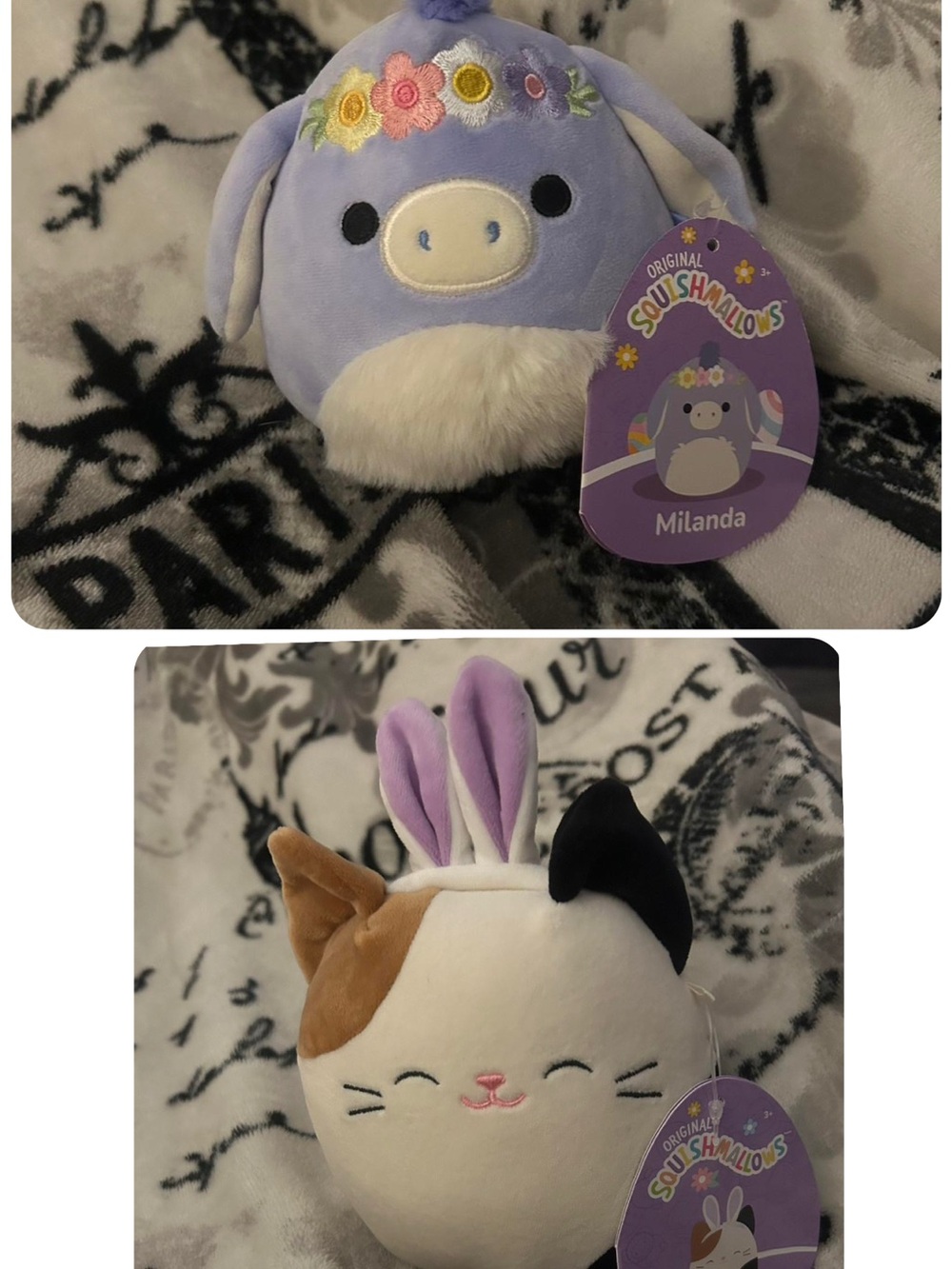 Easter Squishmallow Bundle